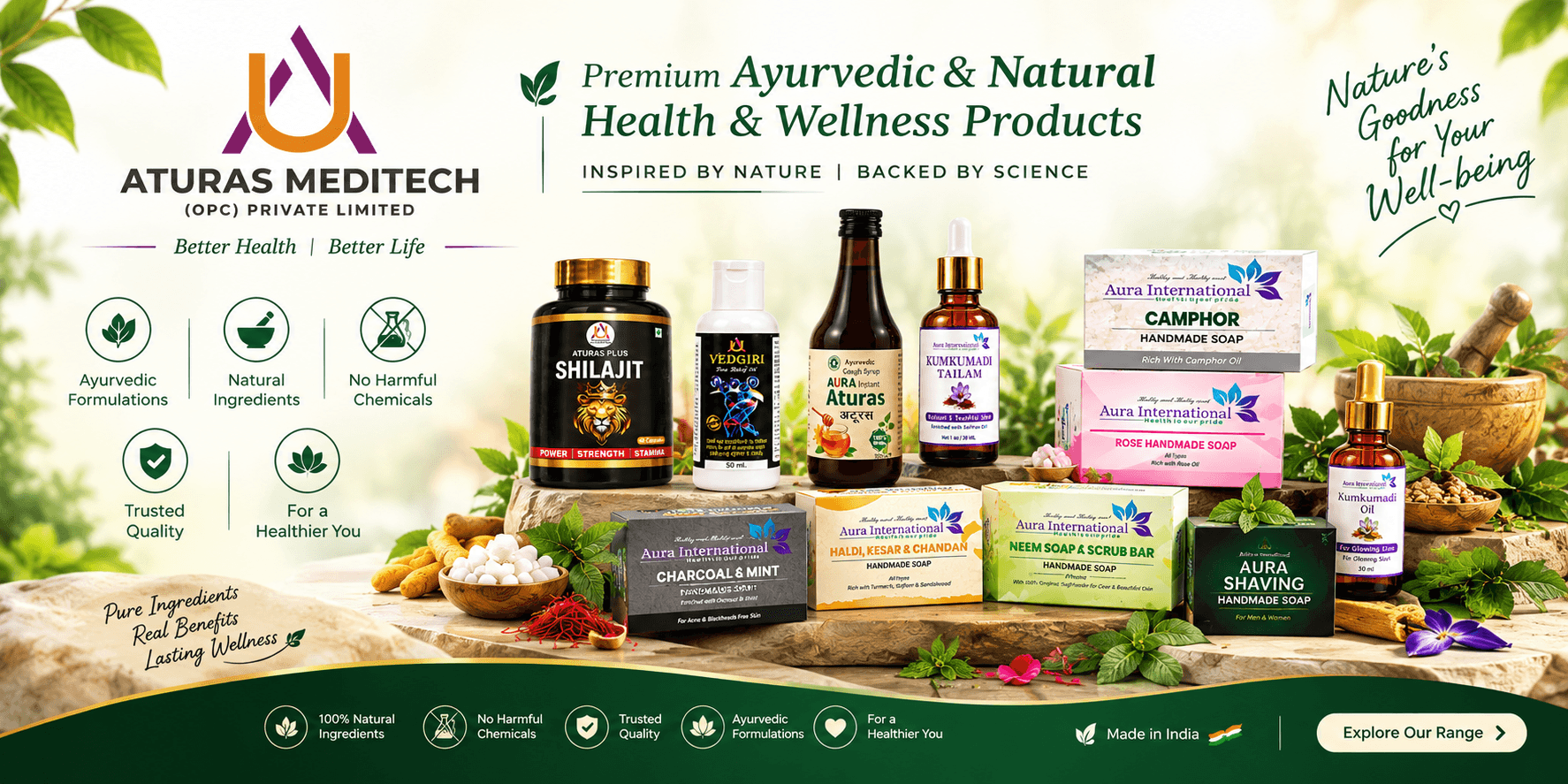 Ayurvedic Wellness Product Showcase